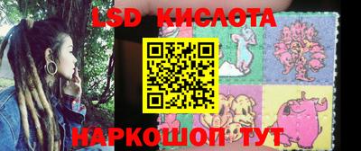 прущие грибы Будённовск