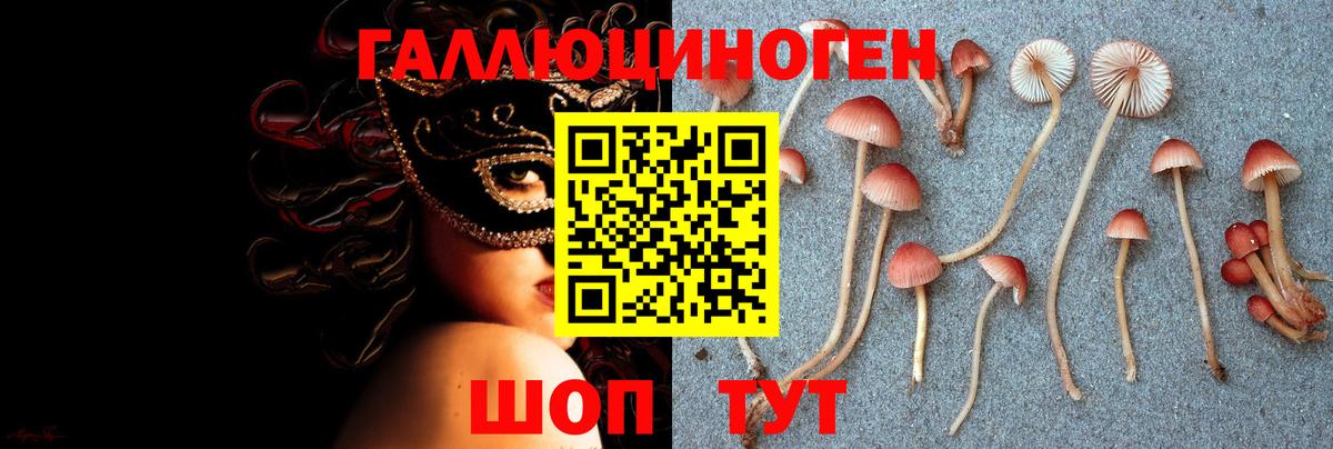 Старый Оскол  Псилоцибиновые грибы MAGIC MUSHROOMS  Вход с VPN  Псилоцибиновые грибы Psilocybe 