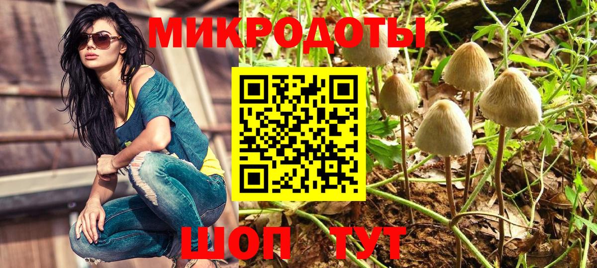 Псилоцибиновые грибы мицелий Старый Оскол